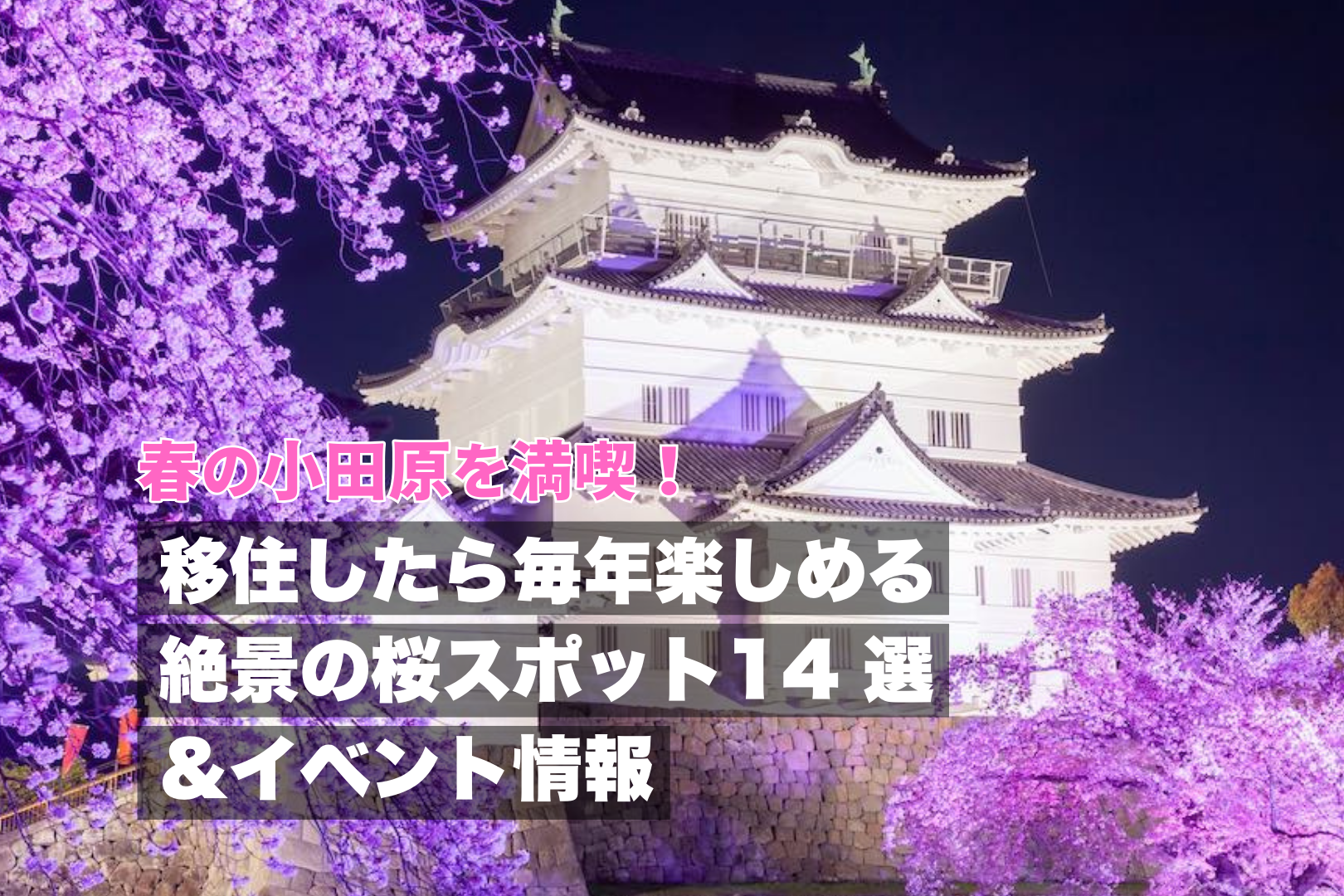 春の小田原を満喫！移住したら毎年楽しめる絶景の桜スポット14 選＆イベント情報