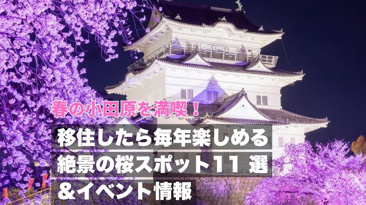 春の小田原を満喫！移住したら毎年楽しめる絶景の桜スポット11 選＆イベント情報