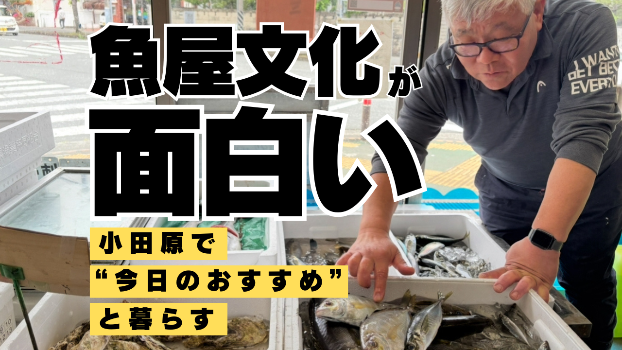 魚屋文化が面白い！小田原で“今日のおすすめ”と暮らす