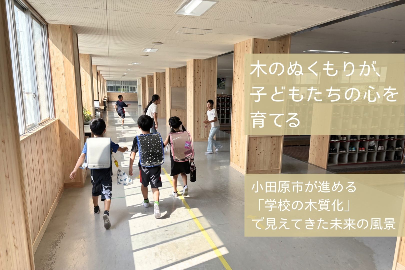 木のぬくもりが、子どもたちの心を育てる ～小田原市が進める「学校の木質化」で見えてきた未来の風景～
