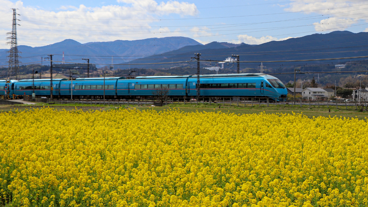 小田急線沿線で見れるロマンスカーと菜の花の風景