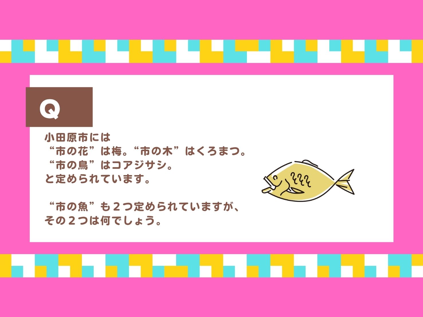 小田原市には “市の花”は梅。“市の木”はくろまつ。 “市の鳥”はコアジサシ。と定められています。“市の魚”も２つ定められていますが、その２つは何でしょう。