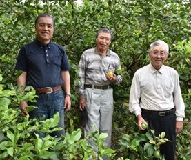 片浦レモン研究会 （写真右から）会長の高橋秀直さん、宮崎昭治さん、廣井博直さん