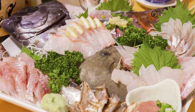 小田原の魚、お刺身の写真